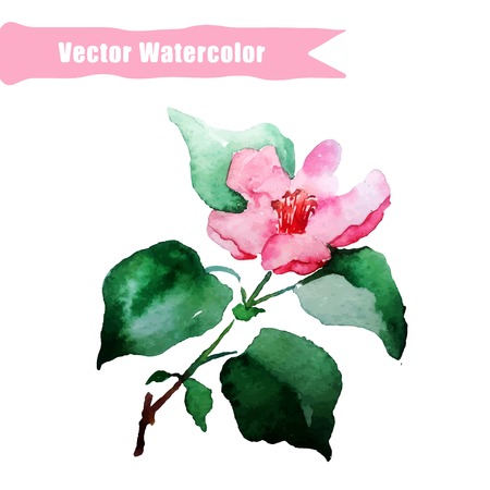 Vector Illustration of Elements Watercolor Heartsease Flower for Design, Website, Background, Banner. Water Colour Texture Element Template. Use on Textile or Wallpaper. Violet, Green, Pink, Red.のイラスト素材