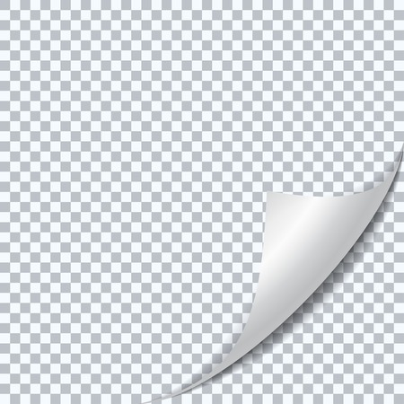 Vector Illustration of Isolated fold sheet of paper for Design, Website, Background, Banner. Page curl with shadow Element Template on Transparent background. White Mockupのイラスト素材