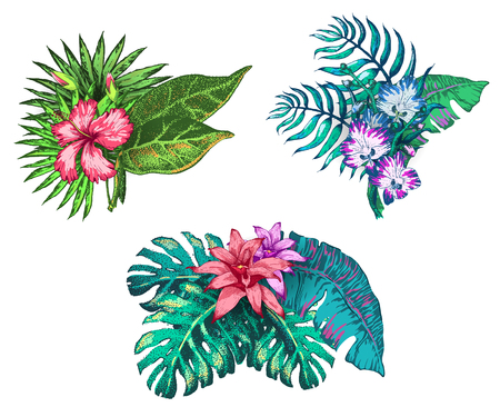 Vector Illustration of tropical Flowers and Palm in Sketch Style for Design, Website, Background, Banner. Doodle Summer Plant Element Template in color. Beach Botanyのイラスト素材