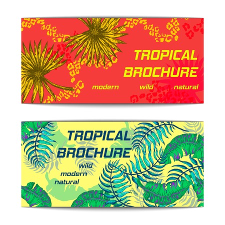 Palm Leaf Sketch11.のイラスト素材