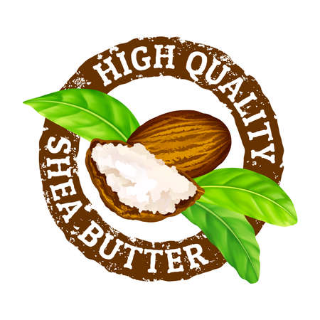 Vector grunge rubber stamp. High quality shea butter on a white. Shea nuts, butter and green leaves leaves stamp icon.のイラスト素材