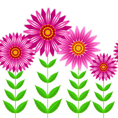 Seamless vector of Echinacea purpurea flowers. Vector seamless illustration of group of echinacea purpurea blooming flowers with steams and green leaves.のイラスト素材