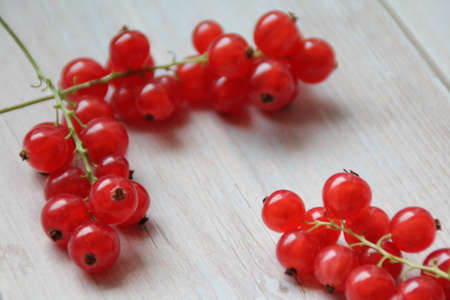 twigs with red currants, fresh currant fruits, vitamins