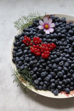a huge plate full of blueberries, with a few redcurrants and a pink flower as decorationの写真素材