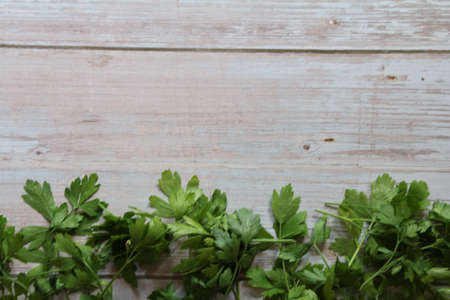 Parcel on the woodの写真素材