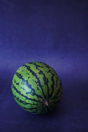 large watermelon fruit, round green watermelon, striped green watermelon peel, fruit on a gray background, fruit with a high water content, blue backgroundの写真素材