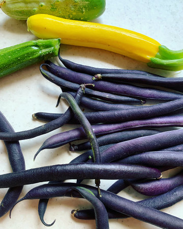 purple green beans, small yellow zucchini, green zucchini, cucumber, garden harvest, fresh...