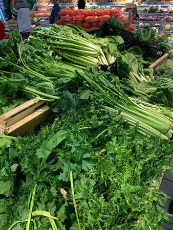 vegetables in the shop, vegetable department, green salads, green celery and cabbage, green vegetables, fresh vegetables, ribs, chardの写真素材