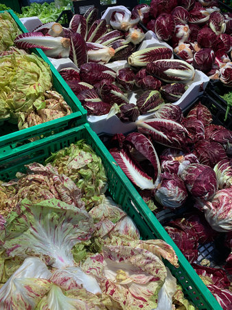 different types of radicchio, radicchio from Castelfranco, radicchio from Chioggia, Italian vegetables from the chicory family, vegetables in an Italian shopの写真素材