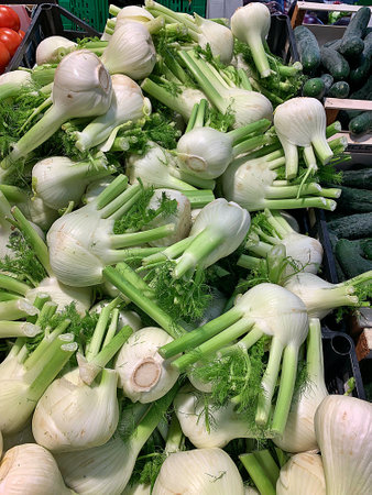 Fresh fennel bulbs on display at a farmers market stall, grocery store, lined vegetables, lots of fennel, fresh vegetables, green cucumbers, healthy foodの写真素材