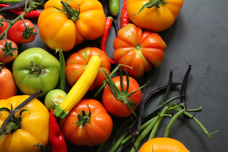 colorful fresh vegetables, tomatoes and young courgettes harvested on the plot, yellow and green...