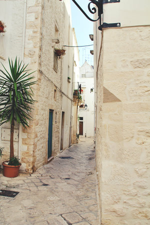 narrow street in an Italian town, white houses, white town, white stone buildings, the town of Locorotondo, Italy, plants arranged next to the houseの写真素材