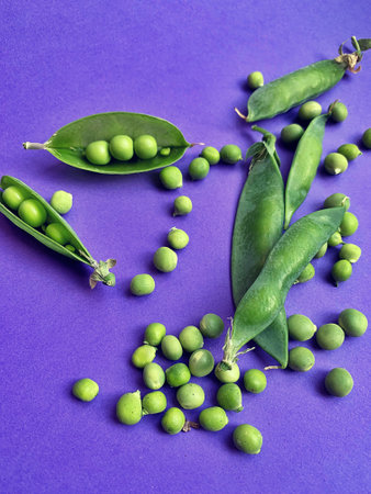 green peas, peas on a purple background, peeled peas in shell, fresh vegetablesの写真素材