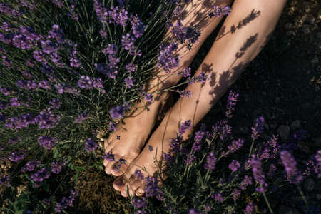 Girl with beautiful legs sits in nature Legs of a woman sitting on grass in the sunlight. Healthcare and spa conceptの写真素材