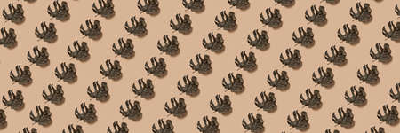 Pattern of dried monstera leaves. Beige banner of dried monstera leaves.