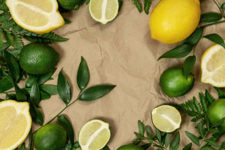 Creative background of tropical fruits with leaves, lemon, lime, on a with fresh branches of fern...