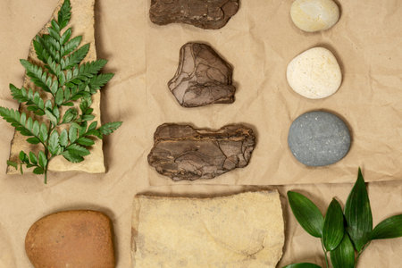 Creative layout of geometry from nature of materials, craft paper, wood, stone with fern leaves....
