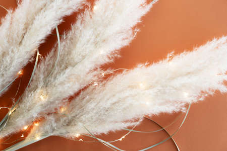 Dry leaves on an orange background and a glowing garland with many lights. Copy space for your designの写真素材