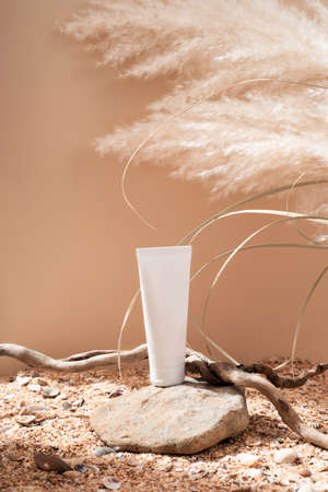 Podium made of natural stone with the shadow of a tropical leaf on the background for cosmetics, natural products. Beautiful background from natural materialsの写真素材