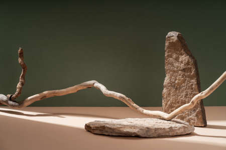 Composition empty podium material tree stone dry flowers. product presentation. Background beige green. Beautiful background from natural materialsの写真素材