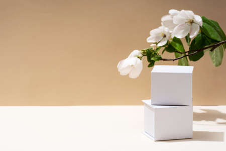 Beautiful background from natural materials. product presentation. background beigeの写真素材
