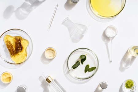 Alternative natural medicine and glassware, flasks and petri bowl. alternative medicine herbs. natural beauty skin care productsの写真素材