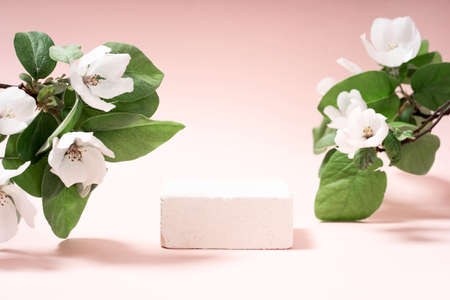 Beautiful background from natural materials. Podium material tree, stone, flowers. product presentation. background beigeの写真素材