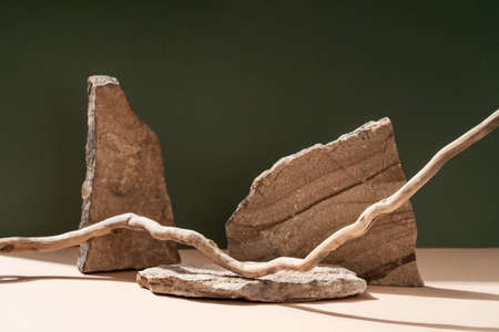Composition empty podium material tree stone dry flowers. product presentation. Background beige green. Beautiful background from natural materialsの写真素材