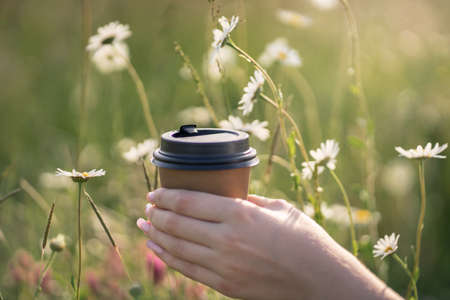 Woman's hand with a paper craft coffee cup in nature in a beautiful sunset lightの写真素材