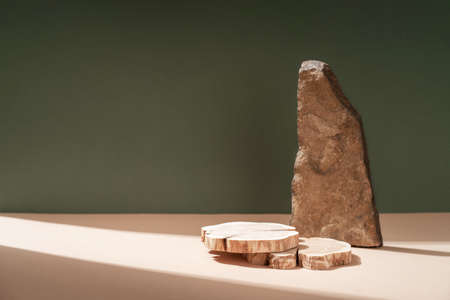 Composition empty podium material tree stone dry flowers. product presentation. Background beige green. Beautiful background from natural materialsの写真素材