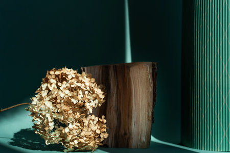 Podium natural wood material on a natural dry autumn leaf in the shade of a green background. beauty...