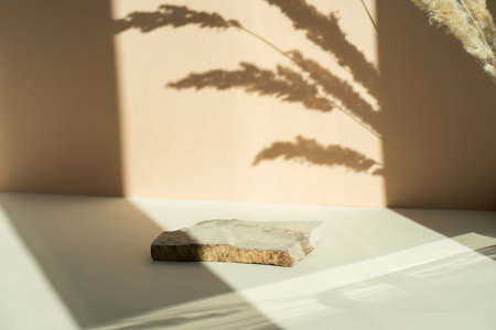 Podium made of natural wood material on a natural dry autumn leaf in the shade of a beige background. beauty cosmetic wooden showcase. Layout for exhibitions, products, cosmetics, healthの写真素材