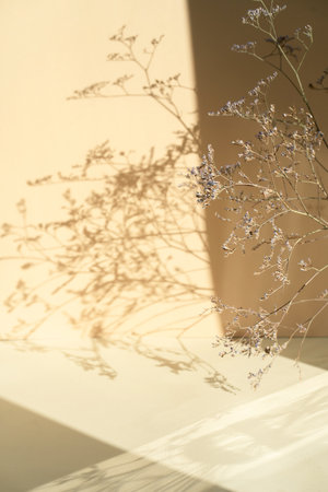 Shadow from dry flowers on a beige background. Abstract trendy colored nature concept background. Layout for exhibitions, products, cosmetics, healthの写真素材