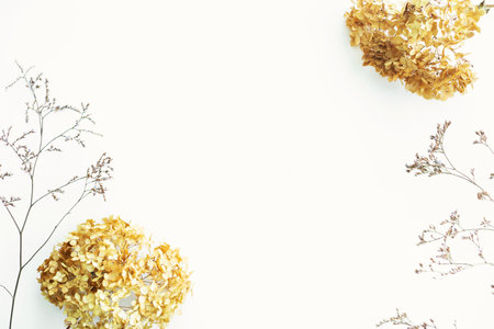Dried golden hydrangea flowers and wildflowers close-up on a light background. Minimal natural background conceptの写真素材