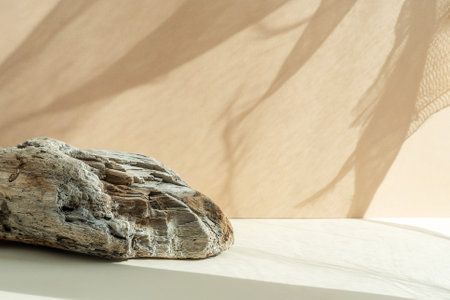 Composition empty podium material tree stone dry flowers. product presentation. background beige. Beautiful background from natural materialsの写真素材