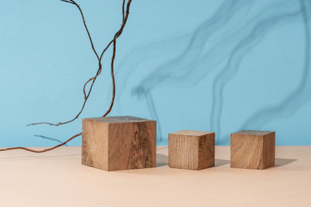 Podium natural wood material on a natural dry autumn leaf in the shade of a blue background. beauty cosmetic wooden display. Layout for exhibitions, products, cosmetics, healthの写真素材