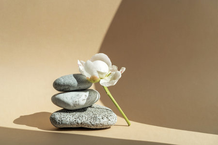 Podium for exhibitions and product presentations material stone, wood, peony flower. Beautiful beige background made of natural materials. Abstract nature scene with compositionの写真素材