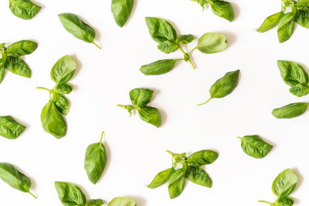 Pattern, texture with basil leaves, on a white background. Flat lay, top viewの写真素材
