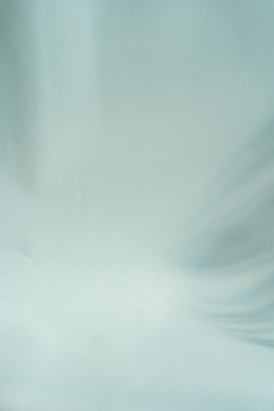 Blurred tropical leaf shadow blank background composition for product presentation. The background is green. Nude Studio Minimal Showcaseの写真素材