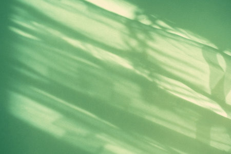 Tropical leaf shadow blank background composition for product presentation. The background is beige. Nude Studio Minimal Showcaseの写真素材