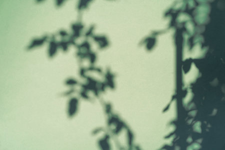 Abstract shadows of tree leaves leave shadows on the texture of a light beige concrete wall....