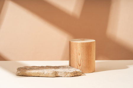 Podium for exhibitions and product presentations, material: stone, wood, dry branches. Beautiful beige background made from natural materials. Abstract nature scene with compositionの写真素材