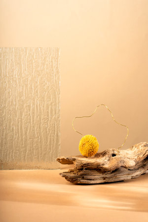 Podium for exhibitions and product presentations, material glass, dried flower. Beautiful beige background made from natural materials. Abstract nature scene with compositionの写真素材