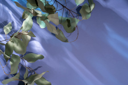 Abstract sun glare from glass, empty background composition for product presentation. Beautiful violet color background.の写真素材