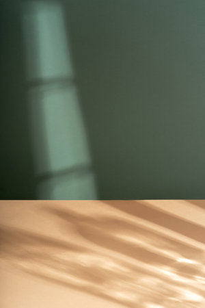Tropical leaf shadow blank background composition for product presentation. The background is beige. Beautiful trendy color backgroundの写真素材