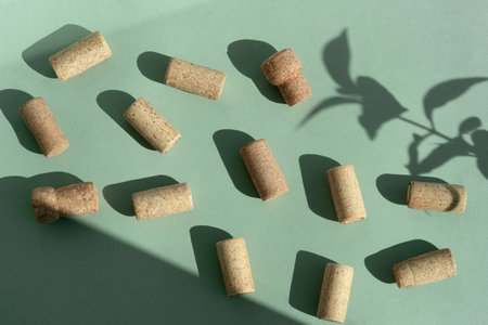 Different glasses for wine, cocktails, drinks, long sun shadow on a light green background. The concept of wine tasting or summer vacationの写真素材