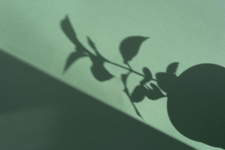 Abstract shadow sun glare from glass, empty background composition for product presentation. The...