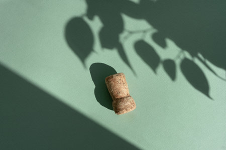 Different glasses for wine, cocktails, drinks, long sun shadow on a light green background. The concept of wine tasting or summer vacationの写真素材