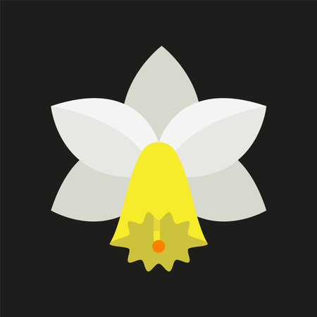Narcissus flower flat icon on black background for web and mobile designのイラスト素材