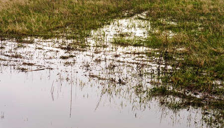 Rural swampland with sky and reflectionの写真素材
